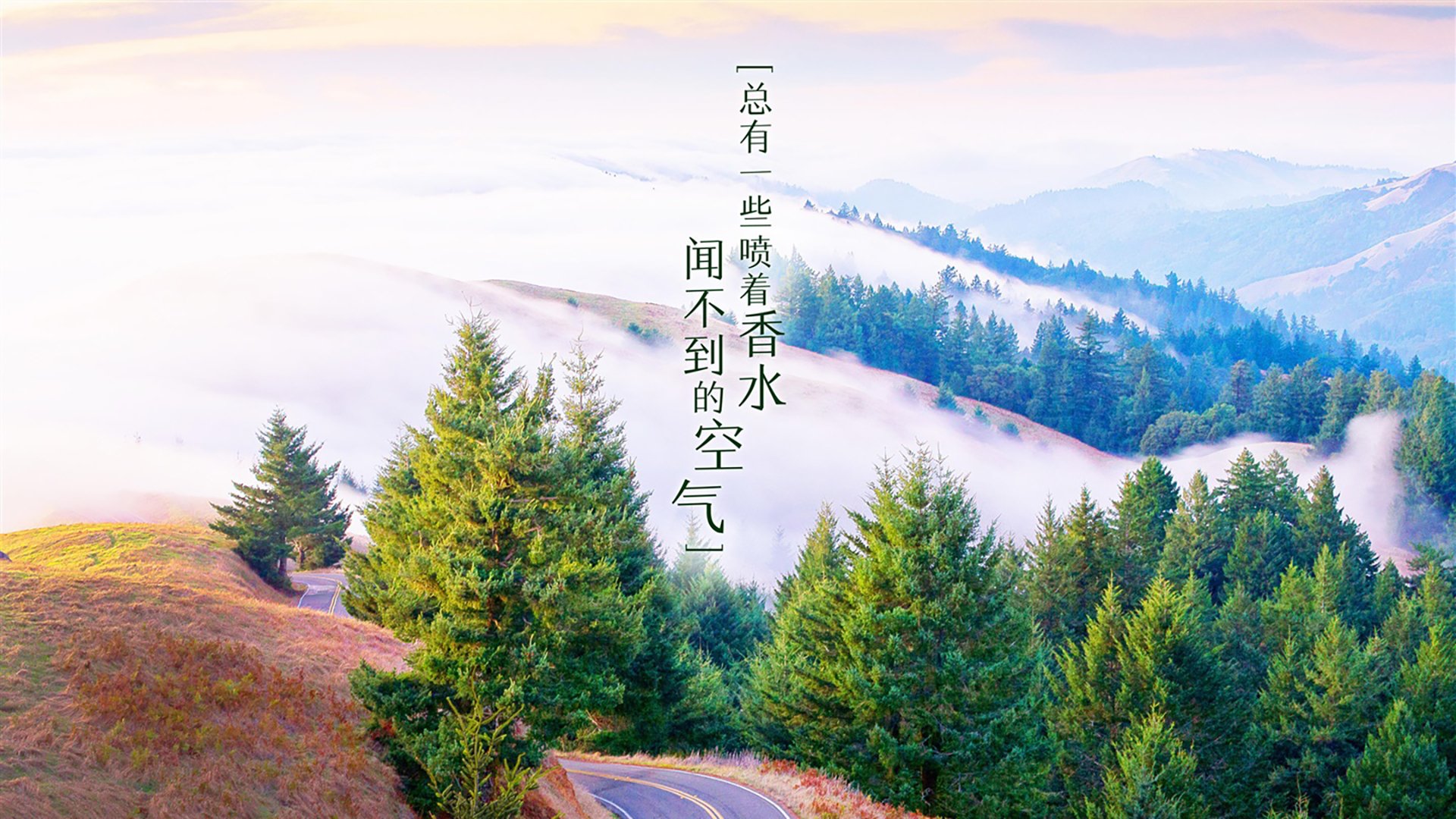 WRC最具爆点的比赛总结与精彩瞬间回顾，wrc经典视频