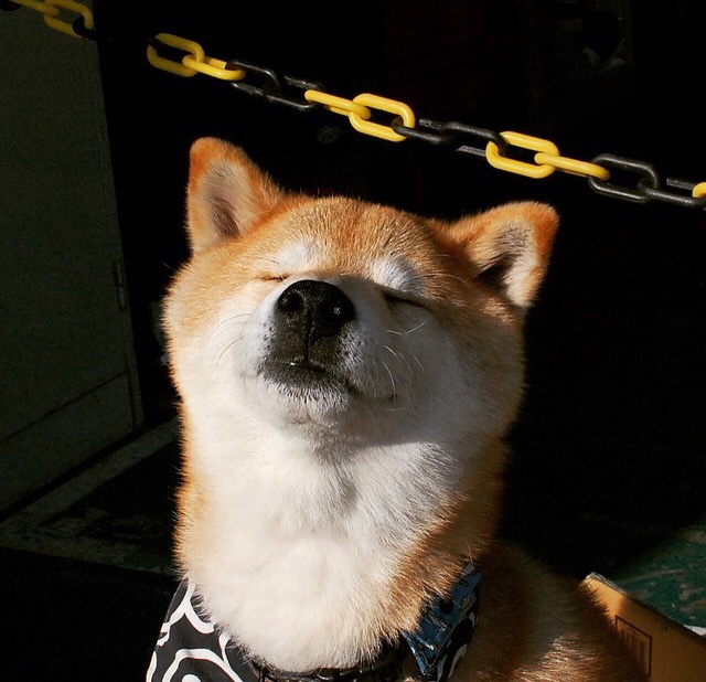 爱游戏登录入口-黄蜂遭遇四连败，季后赛前景渺茫，黄蜂常规赛3连胜