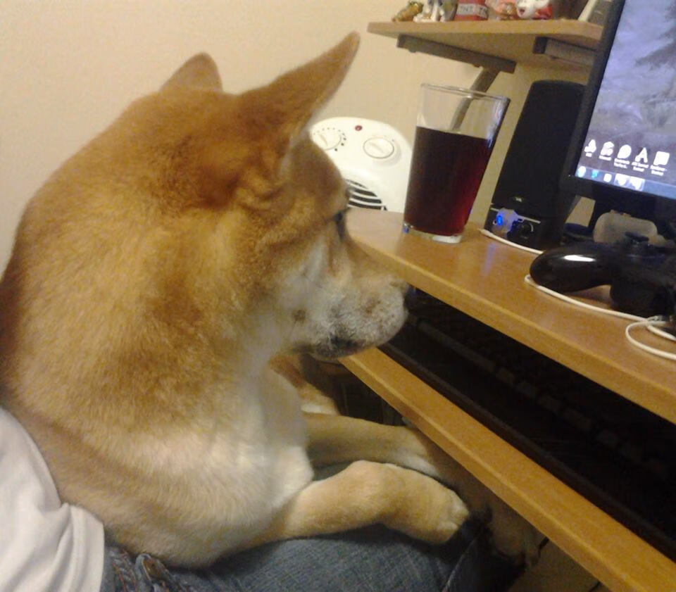 体育赛事数字化管理系统建设，体育数字化平台