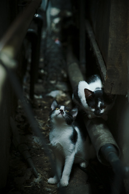 法甲球队融合心理调节技术促进比赛稳定性