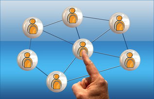 爱游戏体育平台-英超球员社交媒体互动提升粉丝忠诚度研究，英超球队球迷