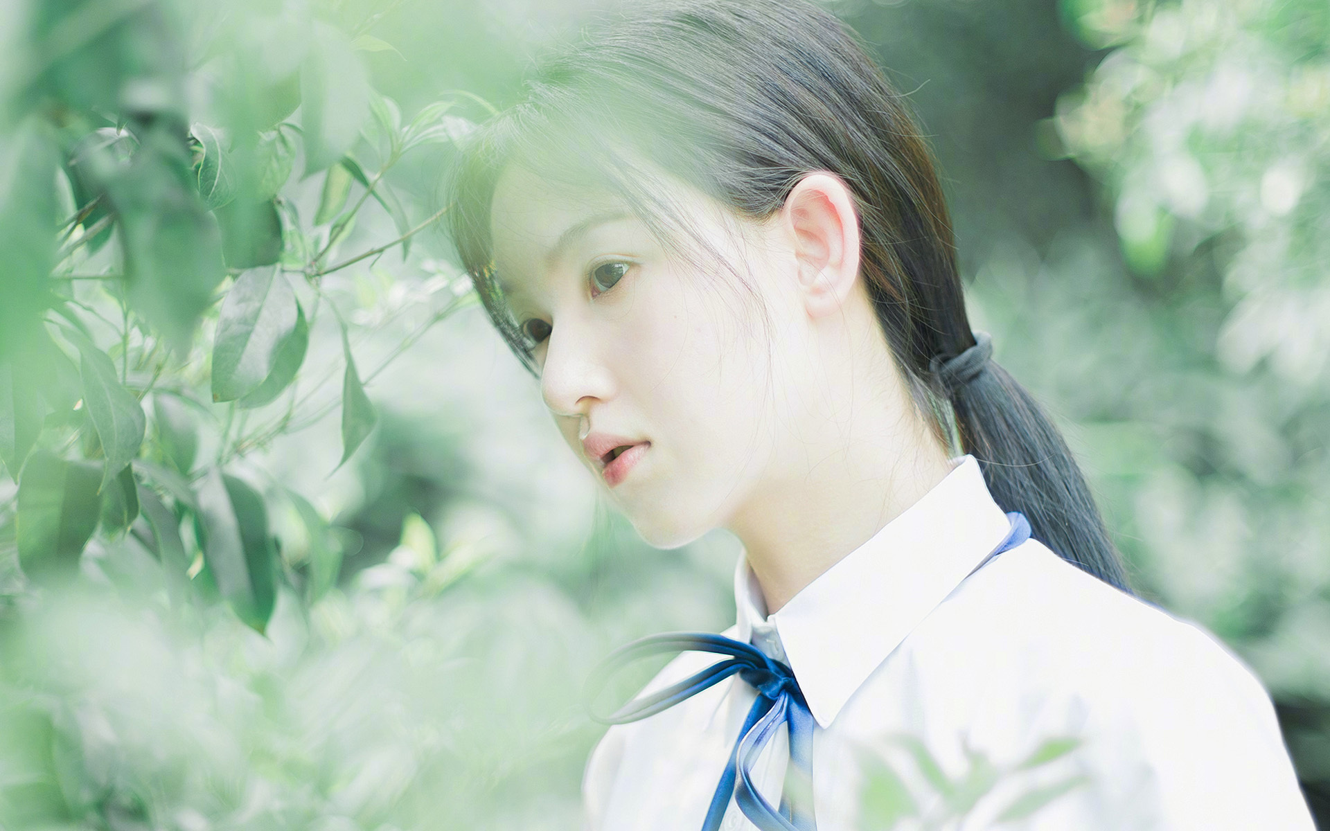 高校体育竞赛组织管理流程优化研究，校园体育竞赛机制