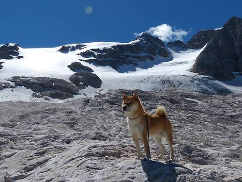 国际热身赛国足爆冷 球迷呼吁加强防守，国足热身赛大胜