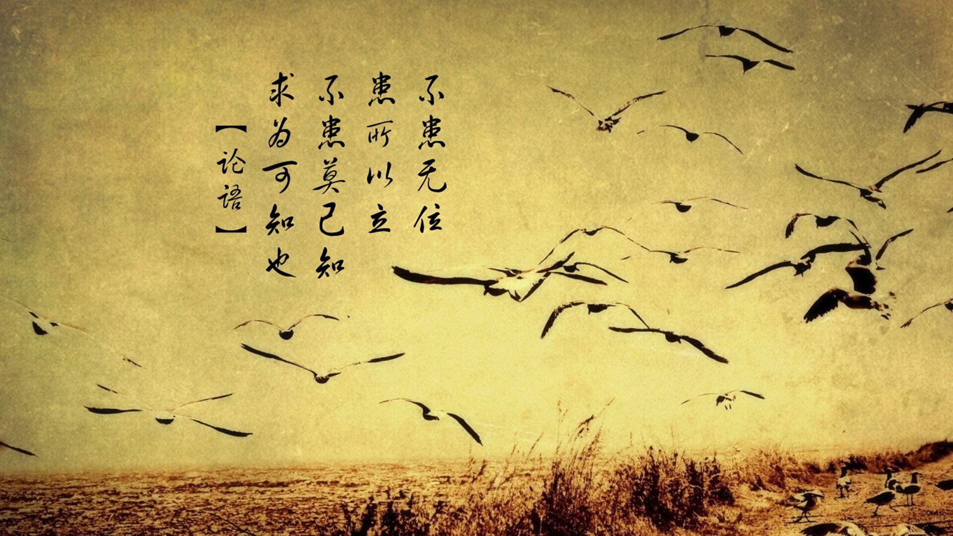 男子50米项目收获铜牌，男子50米项目收获铜牌多少秒