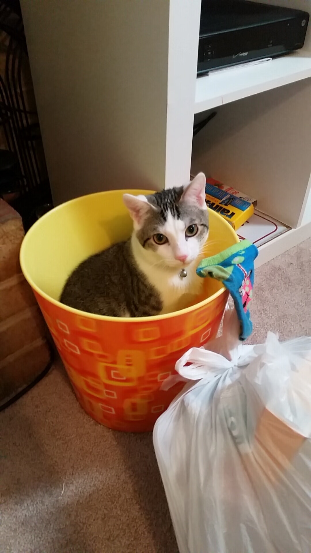 爱游戏中国官方登录入口网站-万乐天女子50米仰泳决赛精彩纷呈，万乐天获女子50米仰泳季军