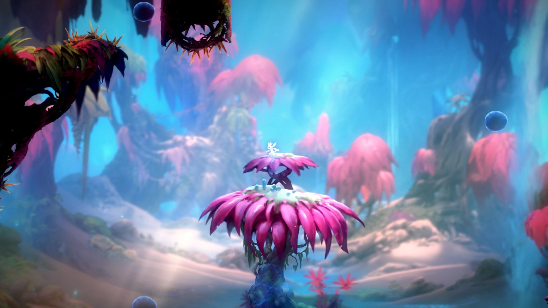 万乐天女子50米仰泳决赛精彩纷呈，万乐天获女子50米仰泳季军