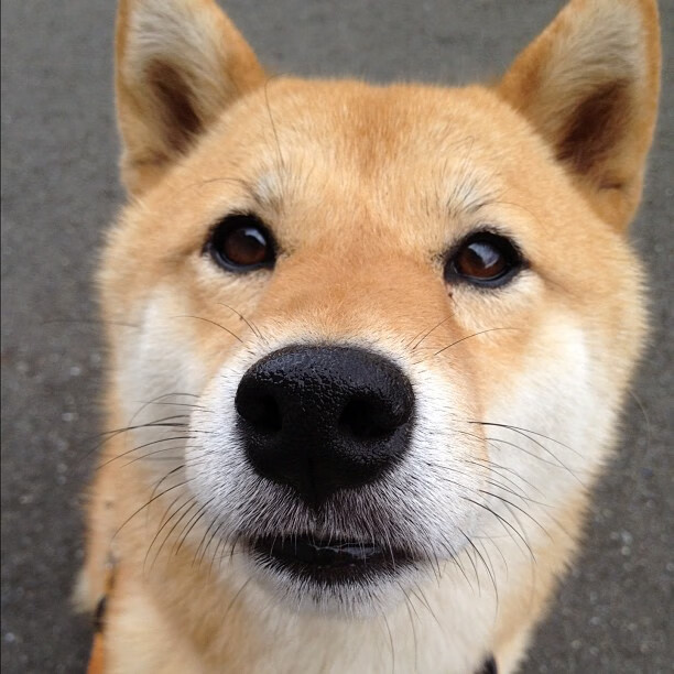 勇士召开赛前动员会议强调团队合作，勇士队揭幕战