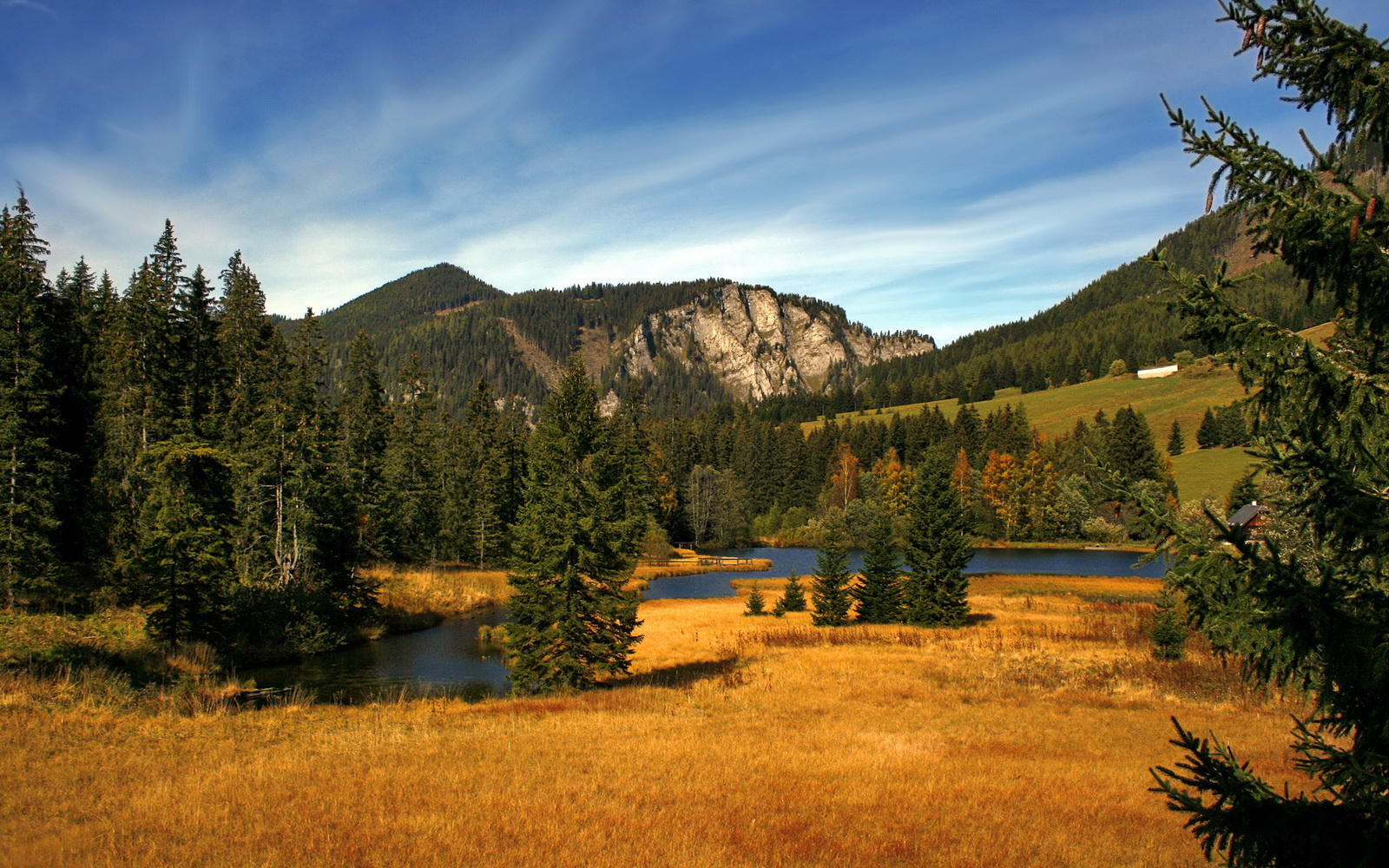 女子篮球发展联盟设立推动联赛规范化建设，女子篮球组织