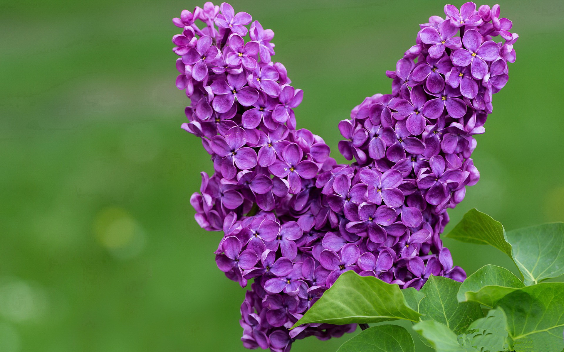 比赛期间商业赞助激增,俱乐部收入大幅提升,赞助商对俱乐部的意义