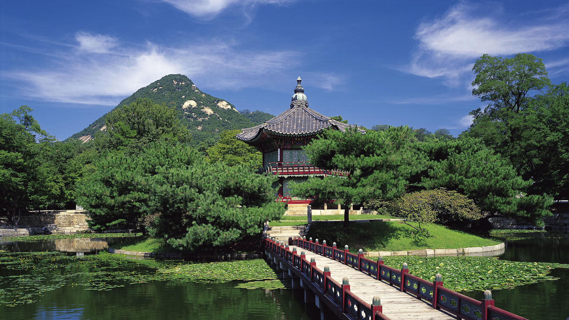 爱游戏娱乐网址-麦金托什女子200米蝶泳决赛突破自我，女子蝶泳冠军麦克尼尔