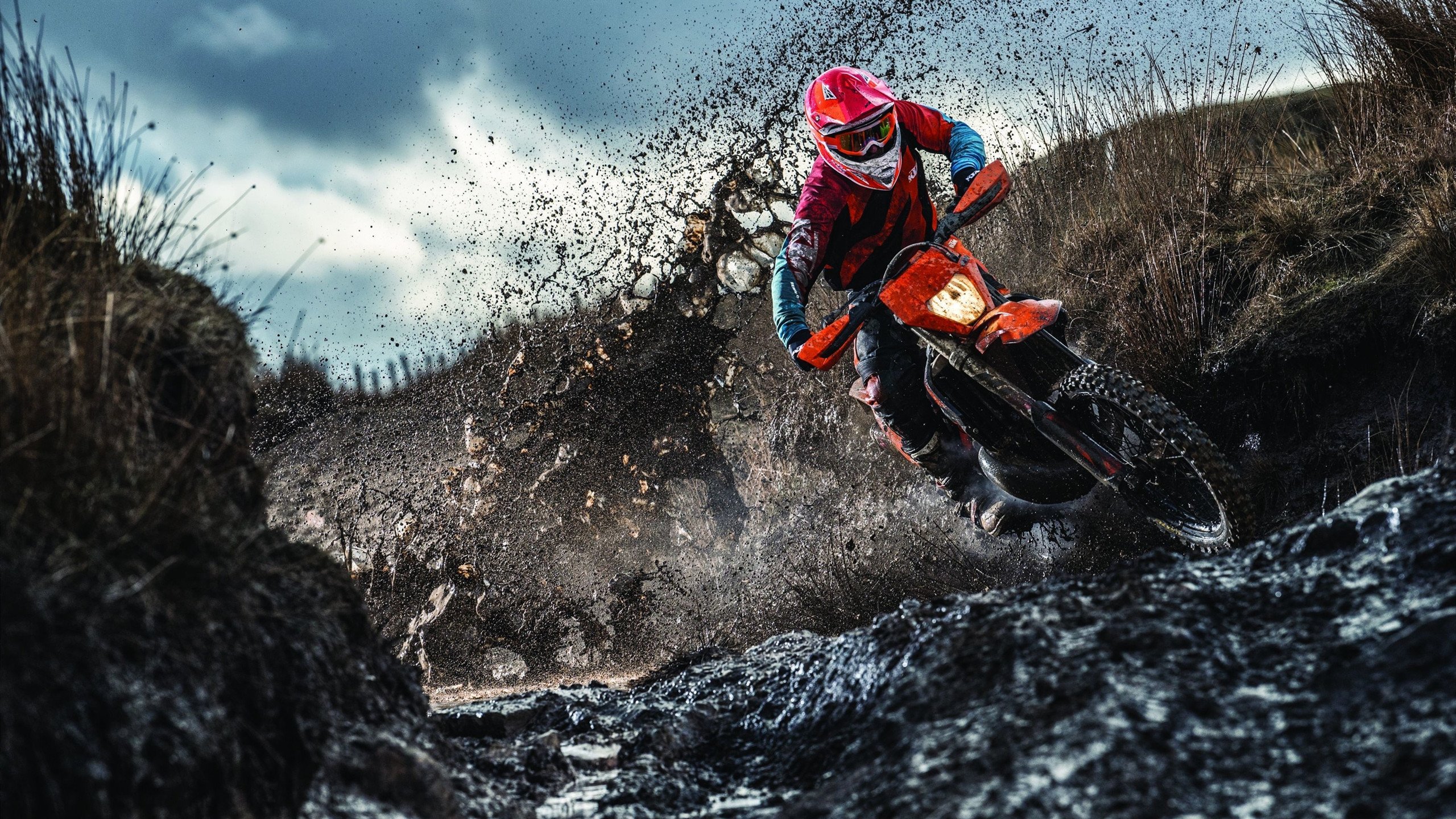 仰泳双线作战 德国稳步前行，双旭教仰泳第四课